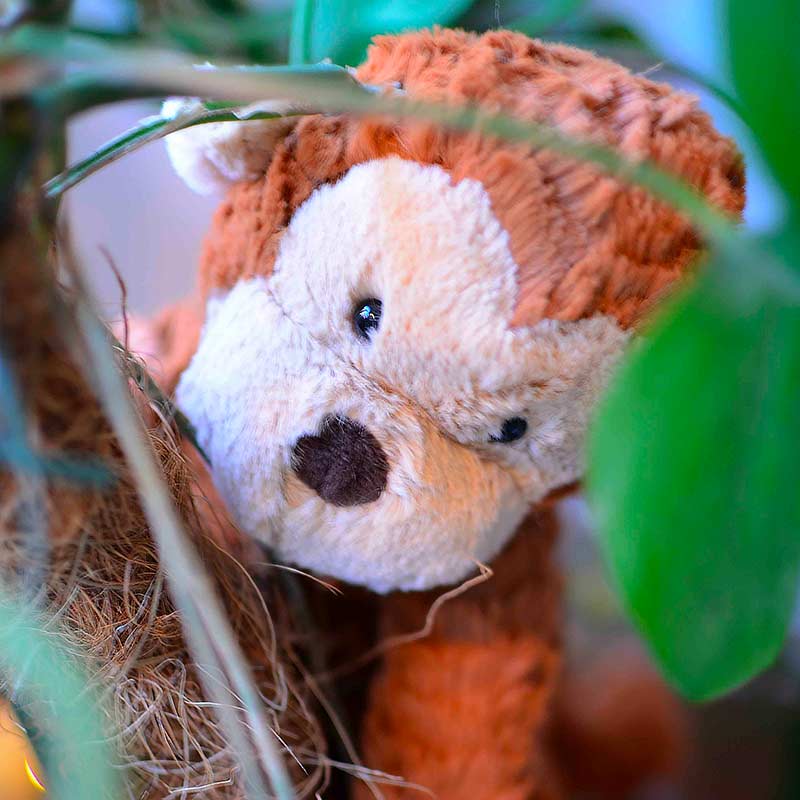 Peluche Singe Jellycat - Fuddlewuddle