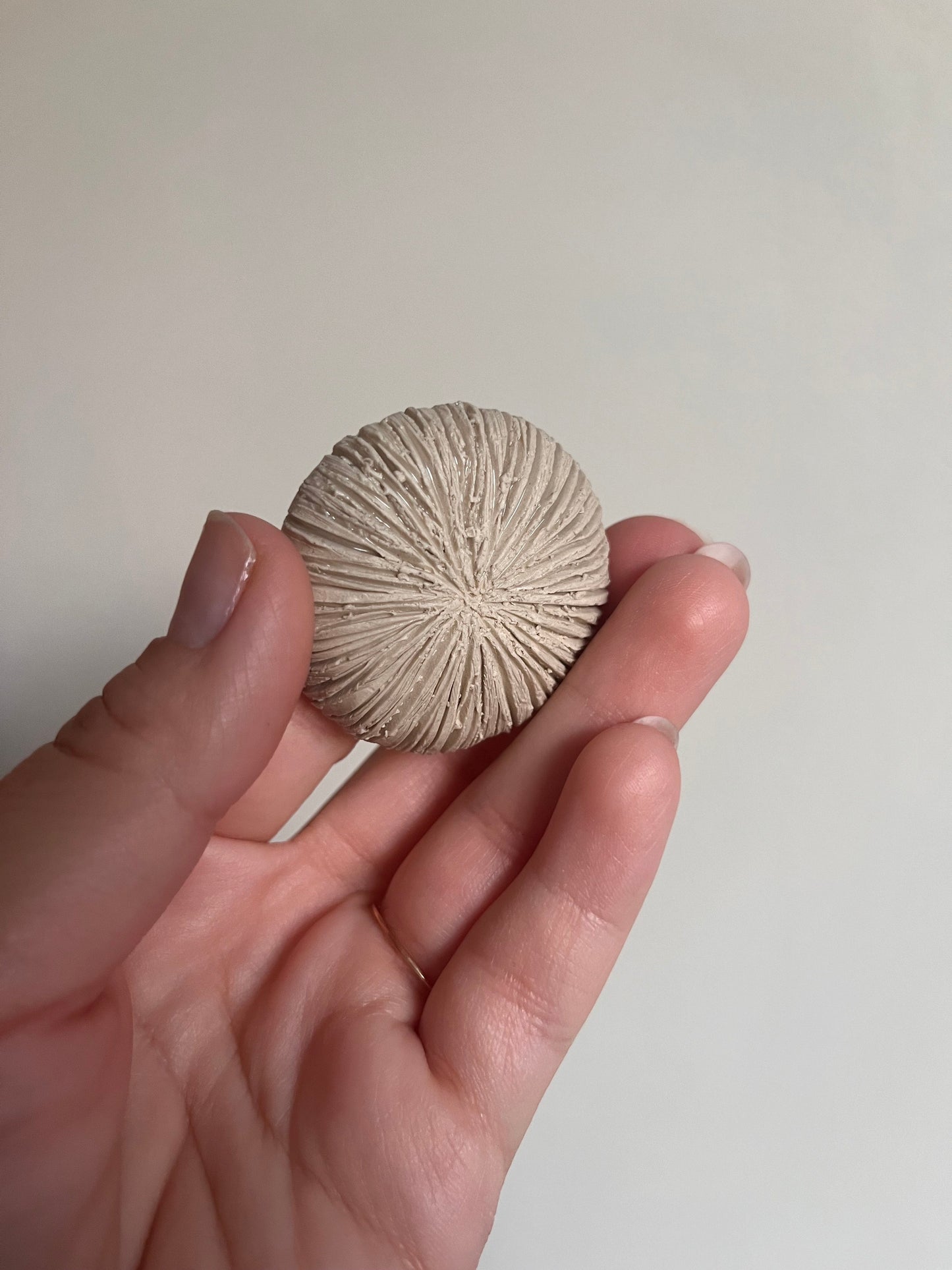 "Précommandes" Pierre d'apaisement champignon