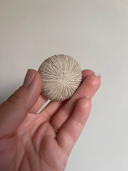"Précommandes" Pierre d'apaisement champignon