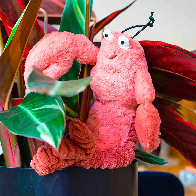 Peluche homard Jellycat - Larry
